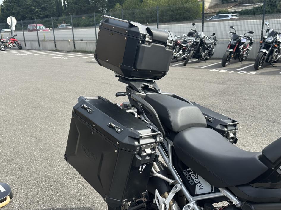 TRIUMPH TIGER 1200 GT PRO