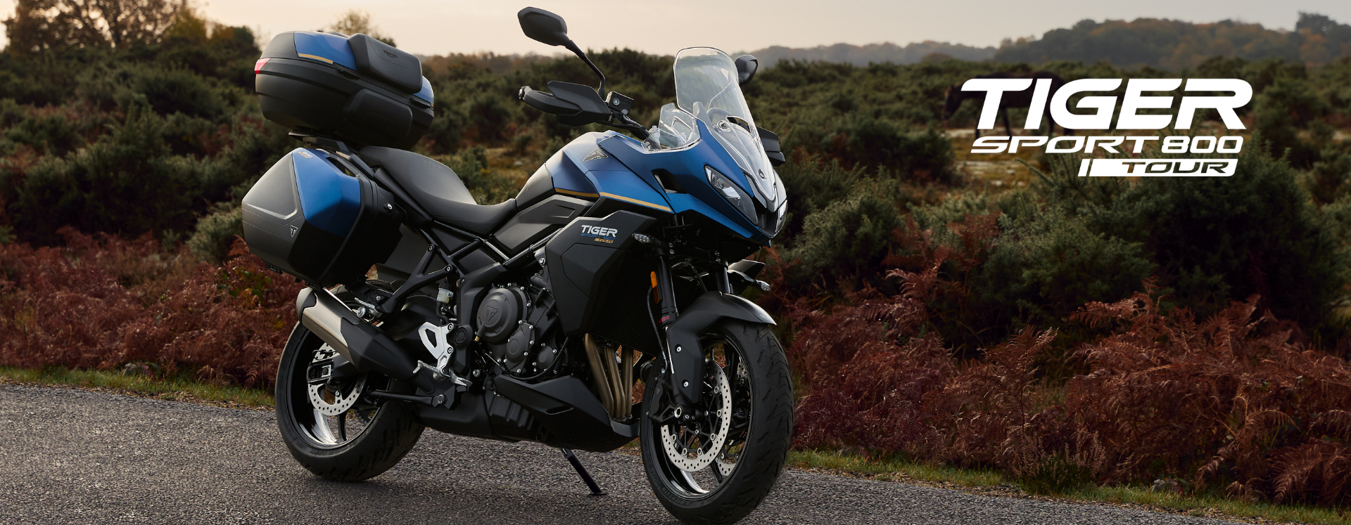 TIGER SPORT 800 TOUR TIGER SPORT 800 TOUR